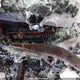 5YFBPMBE9NP374740 2022 Toyota Corolla Le auction photo thumbnail 9