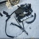 KNDPXCDG2R7147928 2024 Kia Sportage Sx Prestige auction photo thumbnail 12