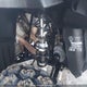 4XAMH76A77A231525 2007 Polaris Sportsman 800 Efi auction photo thumbnail 10