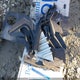 KMHLM4DG2RU729702 2024 Hyundai Elantra Sel auction photo thumbnail 12