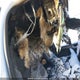 1FMCU0E15SUB53256 2025 Ford Escape auction photo thumbnail 20
