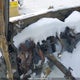 1FMEE9BP3RLA35306 2024 Ford Bronco auction photo thumbnail 7