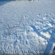 1FMCU9HD3KUC16736 2019 Ford Escape Sel auction photo thumbnail 12