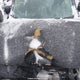 3N1CK3CP8JL250529 2018 Nissan Micra S/Sr/Sv auction photo thumbnail 21