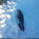 KMHLM4DG0SU051313 2025 Hyundai Elantra Sel Sport auction photo thumbnail 11