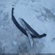 3FAHP0CG5AR130421 2010 Ford Fusion Sel auction photo thumbnail 12