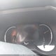 2T3B1RFV7SC517891 2025 Toyota Rav4 Le auction photo thumbnail 15