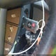 JM1BL1V72D1803534 2013 Mazda 3 I auction photo thumbnail 11