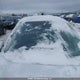 2HGFC2E5XKH027885 2019 Honda Civic Lx auction photo thumbnail 18