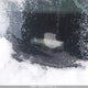 3N1CE2CP0EL403492 2014 Nissan Versa Note 1.6 S/1.6 Sl/1.6 Sv auction photo thumbnail 20