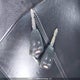 1C3BC5EDXAN171856 2010 Chrysler Sebring Touring auction photo thumbnail 11