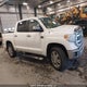 5TFAY5F14FX428633 2015 Toyota Tundra Crewmax 1794/Platinum auction photo thumbnail 13