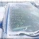 4T1BF1FK8GU542502 2016 Toyota Camry Xse auction photo thumbnail 11