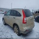 5J6RE48599L806960 2009 Honda Cr-V Ex auction photo thumbnail 3