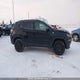3C4NJDDB9HT688133 2017 Jeep New Compass Trailhawk auction photo thumbnail 12