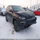 3C4NJDDB9HT688133 2017 Jeep New Compass Trailhawk auction photo thumbnail 1