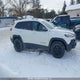 1C4PJMBS7FW556667 2015 Jeep Cherokee Trailhawk auction photo thumbnail 13