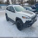 1C4PJMBS7FW556667 2015 Jeep Cherokee Trailhawk auction photo thumbnail 1