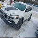 1C4PJMBS7FW556667 2015 Jeep Cherokee Trailhawk auction photo thumbnail 2