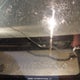 1FTPW14V88KB62029 2008 Ford F-150 Fx4/King Ranch/Lariat/Xlt auction photo thumbnail 9