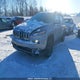 1C4PJMDS4GW196417 2016 Jeep Cherokee Limited auction photo thumbnail 2