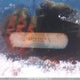 WA1AECF33L1082677 2020 Audi Q3 Premium auction photo thumbnail 20