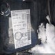 5N1AT2MV0LC813981 2020 Nissan Rogue auction photo thumbnail 9