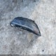 1HGCY2F86RA801023 2024 Honda Accord Hybrid auction photo thumbnail 11