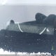 5TFUX4EN2BX005414 2011 Toyota Tacoma auction photo thumbnail 17