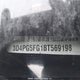 3D4PG5FG1BT569198 2011 Dodge Journey Sxt auction photo thumbnail 20