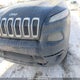1C4PJMCS2EW197130 2014 Jeep Cherokee North auction photo thumbnail 6