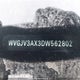 WVGJV3AX3DW562802 2013 Volkswagen Tiguan auction photo thumbnail 20