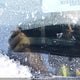 JTDKT923475046682 2007 Toyota Yaris Le/Rs auction photo thumbnail 19