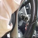 1G1PC5SB0D7273351 2013 Chevrolet Cruze auction photo thumbnail 11