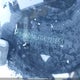 KMHD84LF6HU221653 2017 Hyundai Elantra Se/Value/Limited auction photo thumbnail 20