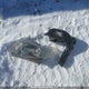 2HGFG3A54CH005477 2012 Honda Civic auction photo thumbnail 12