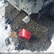 3KPF54AD5ME336244 2021 Kia Forte Ex auction photo thumbnail 12