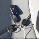 KMHCT4AE6HU202637 2017 Hyundai Accent Le auction photo thumbnail 11