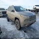 1C4PJMBS7FW780697 2015 Jeep Cherokee Trailhawk auction photo thumbnail 1