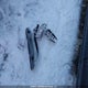 2HGFC1E59HH200735 2017 Honda Civic Si Si auction photo thumbnail 11