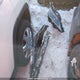 2T2JGMDA5LC044611 2020 Lexus Rx 450H auction photo thumbnail 12