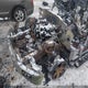 1FTEX1EFXHKE31613 2017 Ford F-150 Xlt auction photo thumbnail 10