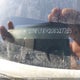 2GNFLFEK2G6327765 2016 Chevrolet Equinox Lt auction photo thumbnail 9