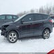 1FMCU0GX5DUA95993 2013 Ford Escape Se auction photo thumbnail 14
