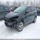 1FMCU0GX5DUA95993 2013 Ford Escape Se auction photo thumbnail 2