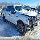 1FT6W1B76RWG13159 2024 Ford F-150 Lightning Pro auction photo thumbnail 1