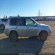 JN8BT08VX6W206694 2006 Nissan X-Trail Xe/Se auction photo thumbnail 14