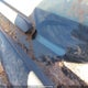 5NPDH4AE9GH682420 2016 Hyundai Elantra Gl auction photo thumbnail 19