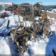 3NSGXJ99XLH200233 2020 Polaris General Xp 1000 Deluxe Ride Command auction photo thumbnail 6