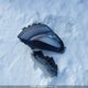 5YJYGDED0MF116792 2021 Tesla Model Y Standard Range Rear-Wheel Drive auction photo thumbnail 12
